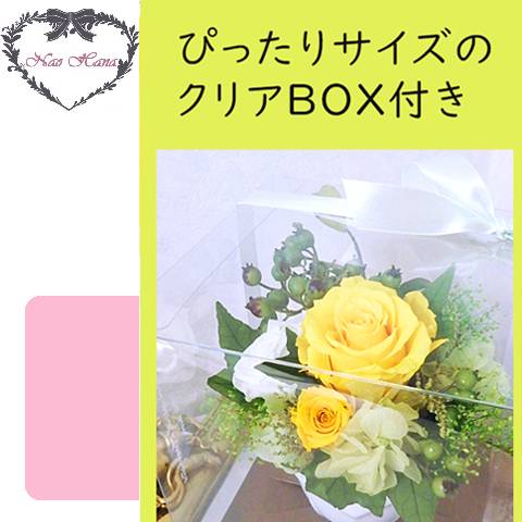 プリザーブドフラワー　ポットアレンジ