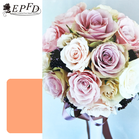 生花フレッシュEPFDプロデザイナー