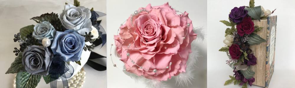 ワンデイレッスン